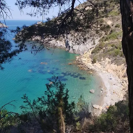 Residenza L'ulivo Holiday home