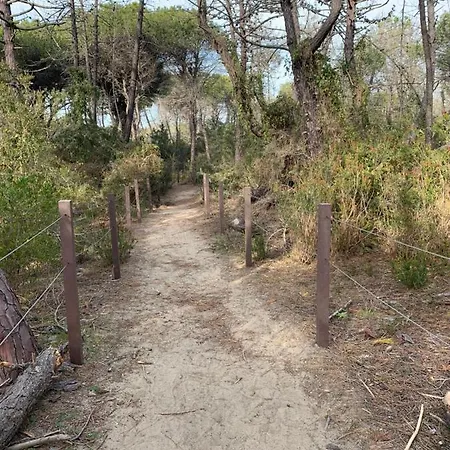 Holiday home Residenza L'ulivo