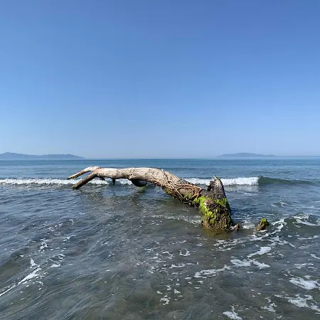 Casa vacanze Residenza L'ulivo Alberese
